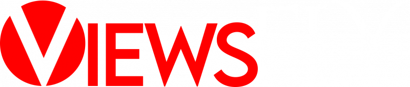 ViewsFly Logo